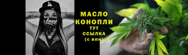 гашик Няндома