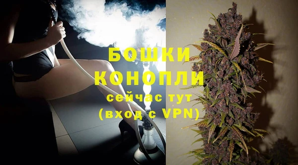 гашик Няндома
