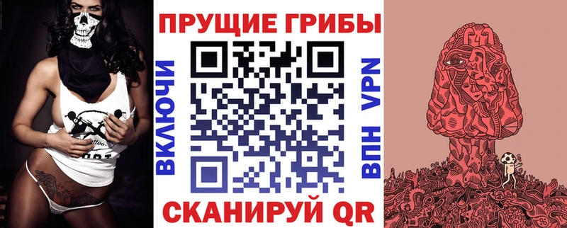 как найти закладки мега ссылки Псилоцибиновые грибы мухоморы Тырныауз